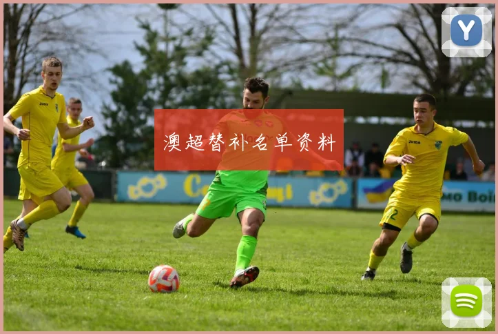 澳超替补名单资料
