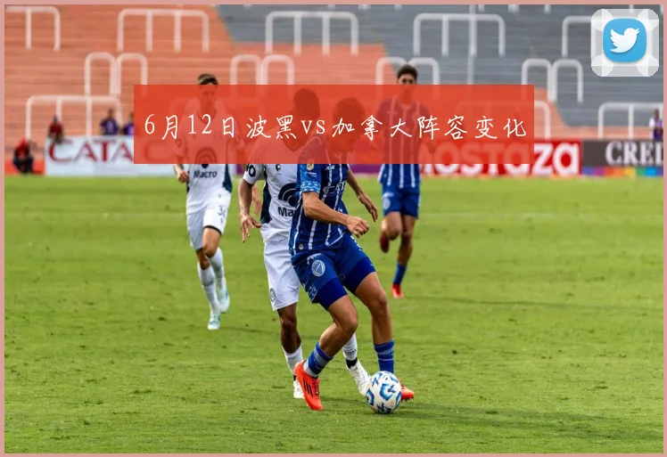 6月12日波黑vs加拿大阵容变化
