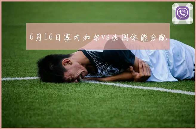 6月16日塞内加尔vs法国体能分配